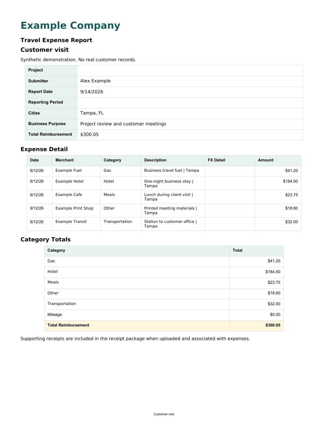 Synthetic Example Company expense report with expense detail and category totals